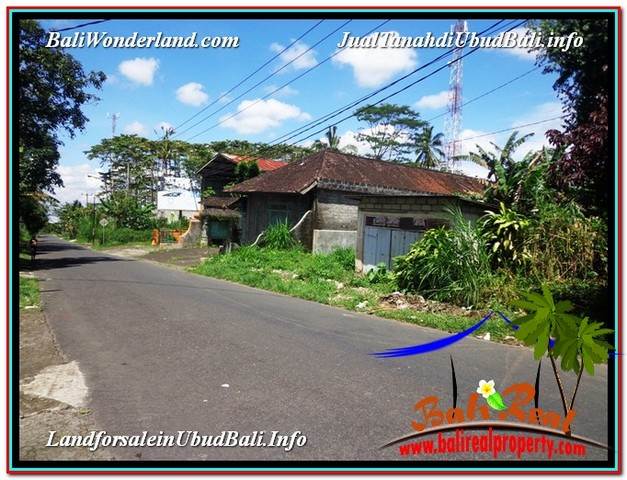 TANAH di UBUD DIJUAL MURAH TJUB589