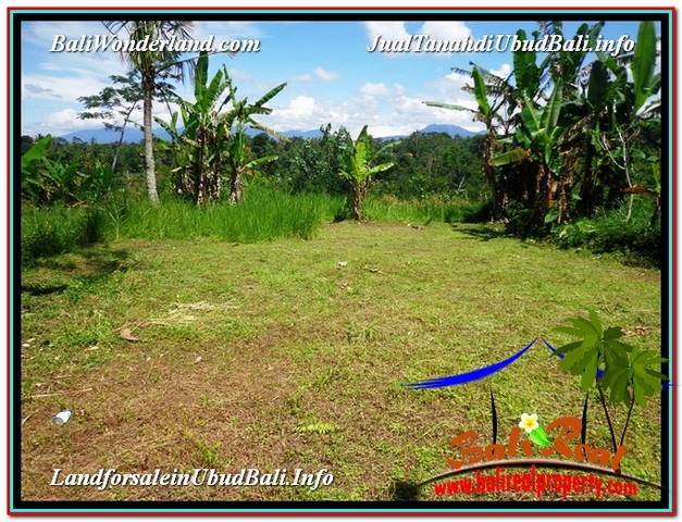 TANAH di UBUD DIJUAL MURAH TJUB589