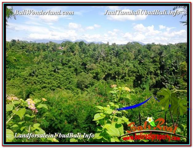 TANAH di UBUD DIJUAL MURAH TJUB589