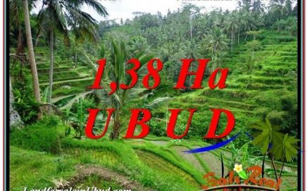 DIJUAL TANAH di UBUD BALI 13,800 m2 di Ubud Tegalalang