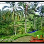 DIJUAL TANAH di UBUD BALI 13,800 m2 di Ubud Tegalalang