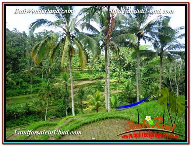 DIJUAL TANAH di UBUD BALI 13,800 m2 di Ubud Tegalalang