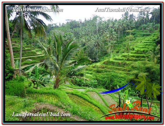 DIJUAL TANAH di UBUD BALI 13,800 m2 di Ubud Tegalalang