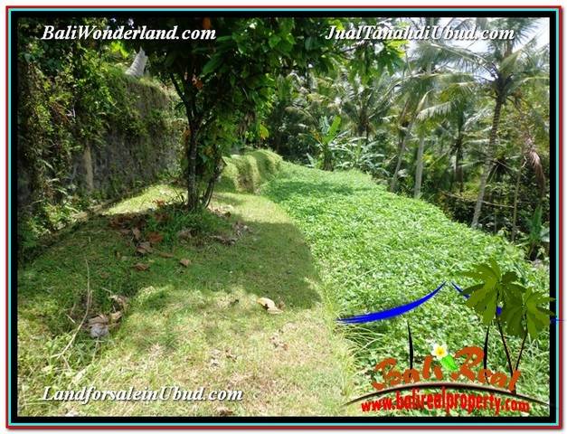 DIJUAL TANAH di UBUD BALI 13,800 m2 di Ubud Tegalalang