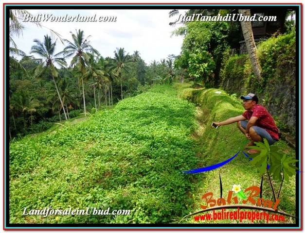 DIJUAL TANAH di UBUD BALI 13,800 m2 di Ubud Tegalalang