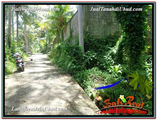 DIJUAL TANAH di UBUD BALI 13,800 m2 di Ubud Tegalalang