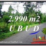 DIJUAL MURAH TANAH di UBUD BALI 2,990 m2 di Ubud Tegalalang