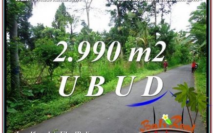 DIJUAL MURAH TANAH di UBUD BALI 2,990 m2 di Ubud Tegalalang