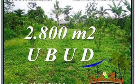 JUAL TANAH MURAH di UBUD 28 Are di Ubud Tegalalang