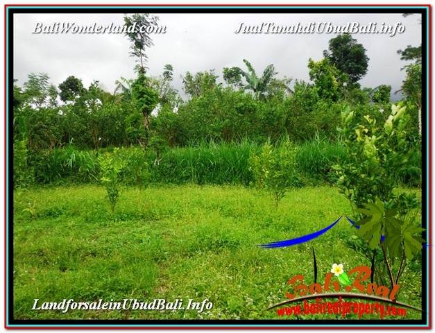 JUAL TANAH MURAH di UBUD 28 Are di Ubud Tegalalang