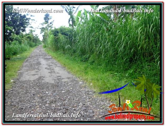 JUAL TANAH MURAH di UBUD 28 Are di Ubud Tegalalang