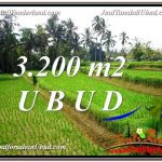 INVESTASI PROPERTI, TANAH DIJUAL MURAH di UBUD TJUB594