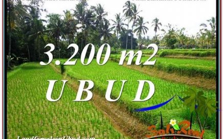 INVESTASI PROPERTI, TANAH DIJUAL MURAH di UBUD TJUB594