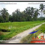 INVESTASI PROPERTI, TANAH DIJUAL MURAH di UBUD TJUB594