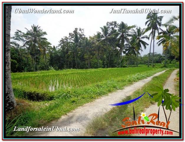 INVESTASI PROPERTI, TANAH DIJUAL MURAH di UBUD TJUB594