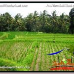 INVESTASI PROPERTI, TANAH DIJUAL MURAH di UBUD TJUB594