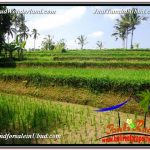 INVESTASI PROPERTI, TANAH DIJUAL MURAH di UBUD TJUB594