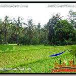 INVESTASI PROPERTI, TANAH DIJUAL MURAH di UBUD TJUB594