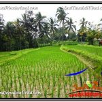 INVESTASI PROPERTI, TANAH DIJUAL MURAH di UBUD TJUB594