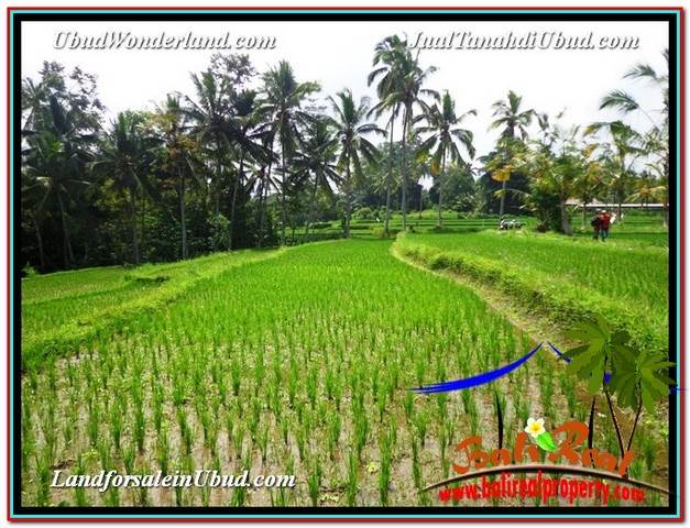 INVESTASI PROPERTI, TANAH DIJUAL MURAH di UBUD TJUB594