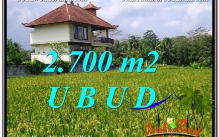 INVESTASI PROPERTI, TANAH MURAH DIJUAL di UBUD TJUB595