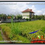 INVESTASI PROPERTI, TANAH MURAH DIJUAL di UBUD TJUB595