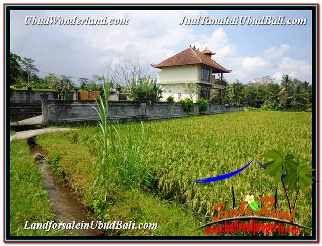 INVESTASI PROPERTI, TANAH MURAH DIJUAL di UBUD TJUB595