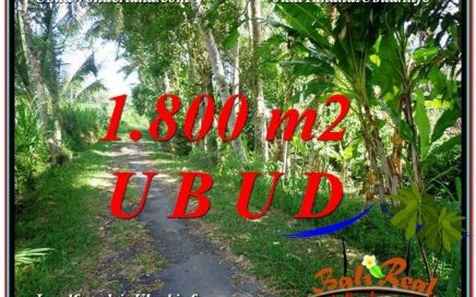 TANAH MURAH di UBUD BALI DIJUAL 1,800 m2 View Sungai dan Tebing link Villa