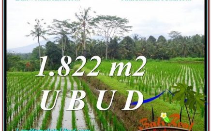 TANAH di UBUD DIJUAL TJUB574