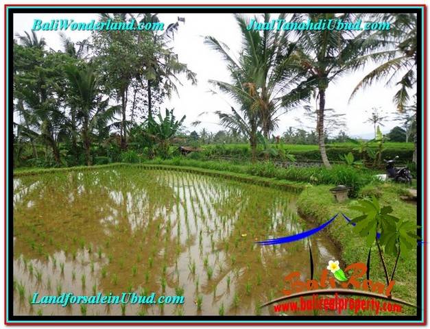 TANAH di UBUD DIJUAL TJUB574