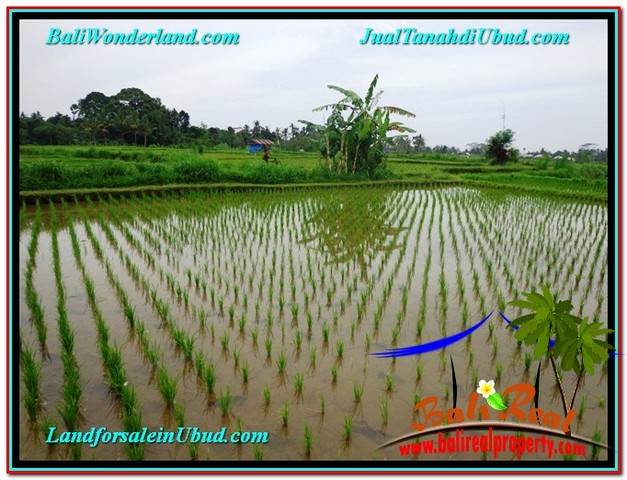 TANAH di UBUD DIJUAL TJUB574