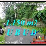 TANAH MURAH di UBUD BALI 1,150 m2 di Ubud Pejeng