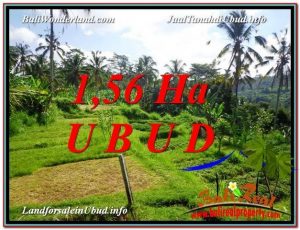 TANAH MURAH JUAL   UBUD 156 Are View Sawah, Sungai dan Tebing 