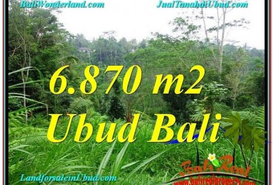 DIJUAL TANAH MURAH di UBUD 6,870 m2 di Ubud Tampak Siring