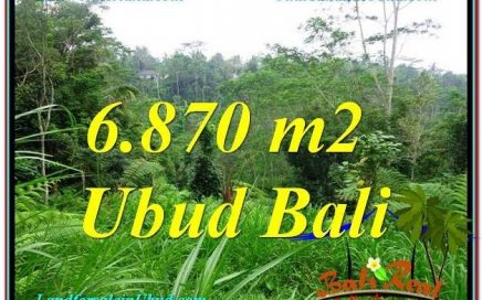 TANAH MURAH di UBUD Untuk INVESTASI TJUB602