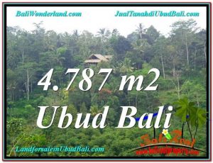 TANAH di UBUD JUAL MURAH 4,787 m2 View Kebun, Sungai dan Tebing 