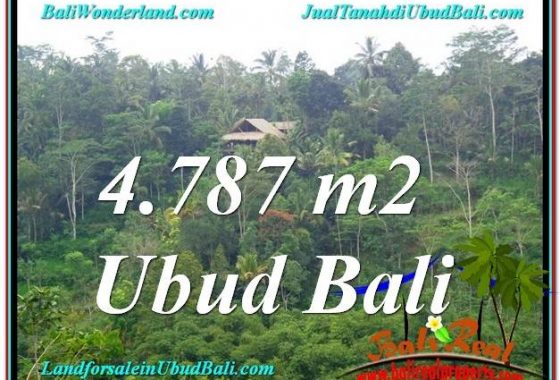 TANAH di UBUD JUAL MURAH 4,787 m2 View Kebun, Sungai dan Tebing