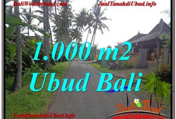 JUAL MURAH TANAH di UBUD Untuk INVESTASI TJUB604