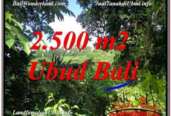 DIJUAL MURAH TANAH di UBUD BALI 25 Are di Ubud Pejeng