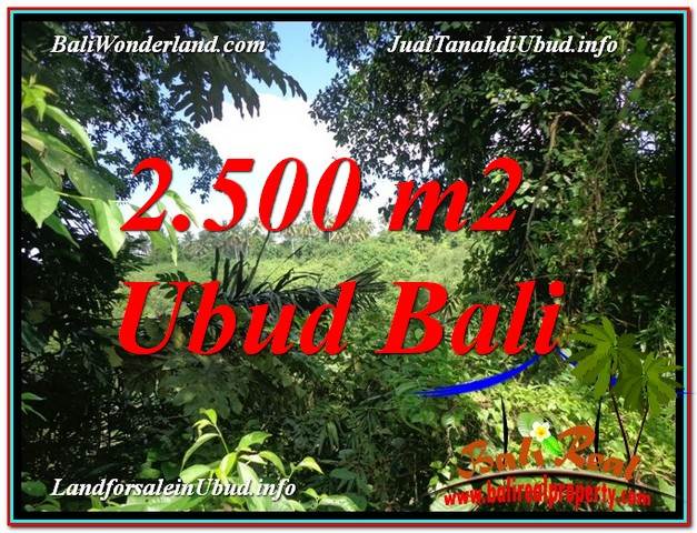 DIJUAL MURAH TANAH di UBUD BALI 25 Are di Ubud Pejeng