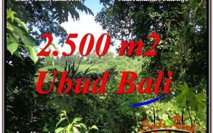 TANAH MURAH JUAL di UBUD BALI 25 Are View Tebing dan Sungai lingkungan Villa