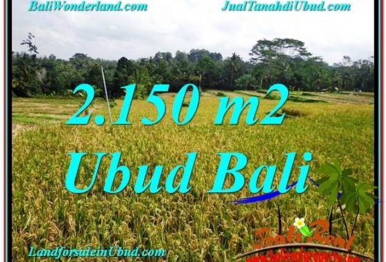 TANAH MURAH di UBUD 22 Are di Ubud Tegalalang