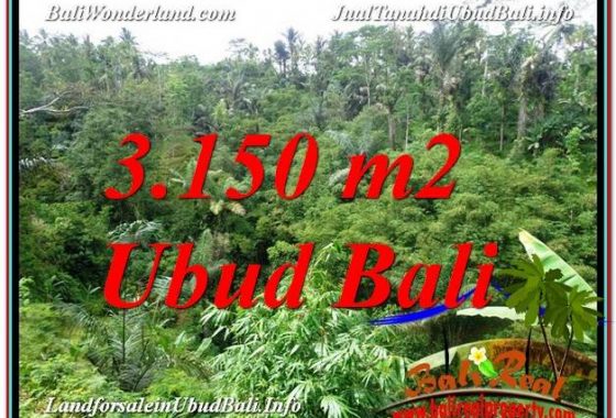 TANAH di UBUD JUAL 3,150 m2 View Tebing dan Sungai