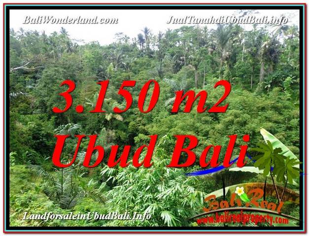 TANAH di UBUD JUAL 3,150 m2 View Tebing dan Sungai