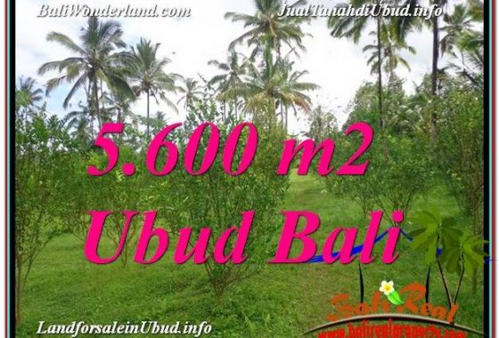 DIJUAL TANAH di UBUD TJUB609