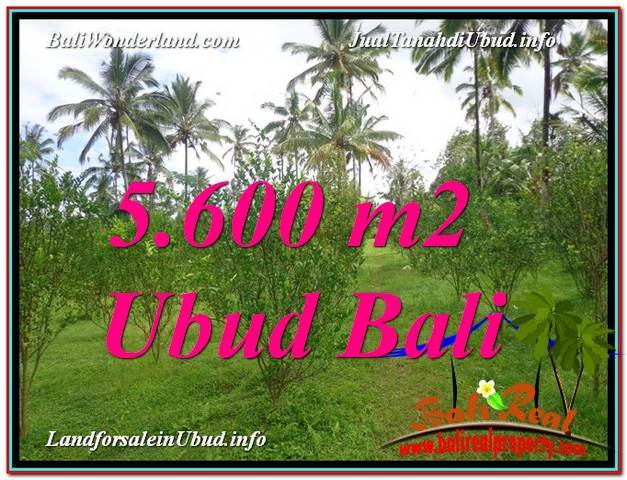 DIJUAL TANAH di UBUD TJUB609