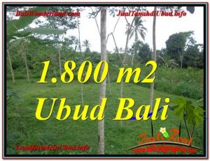 JUAL TANAH di UBUD BALI 18 Are View Tebing dan kebun