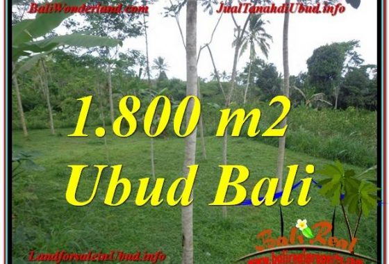 JUAL TANAH di UBUD BALI 18 Are View Tebing dan kebun