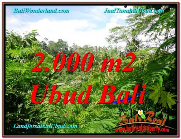 JUAL TANAH MURAH di UBUD 2,000 m2 di Ubud Tegalalang