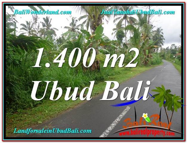 TANAH di UBUD DIJUAL Untuk INVESTASI TJUB612